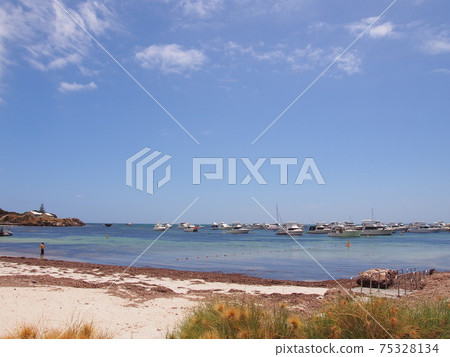 Rottnest Island beautiful beach Rottnest Island beautiful beach 75328134