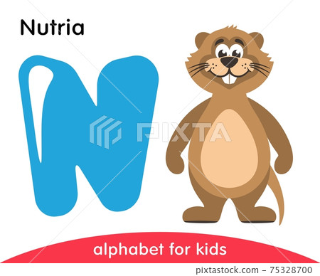 Blue letter N and brown Nutria. English alphabet with animals. Cartoon characters isolated on white background. Flat design. Zoo theme. Colorful vector illustration for kids. Blue letter N and brown Nutria. English alphabet with animals. Cartoon characters isolated on white background. Flat design. Zoo theme. Colorful vector illustration for kids. 75328700