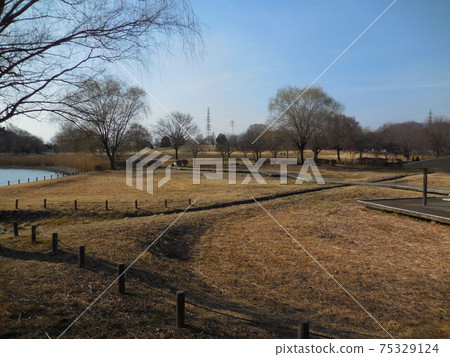 大室公園風景 75329124