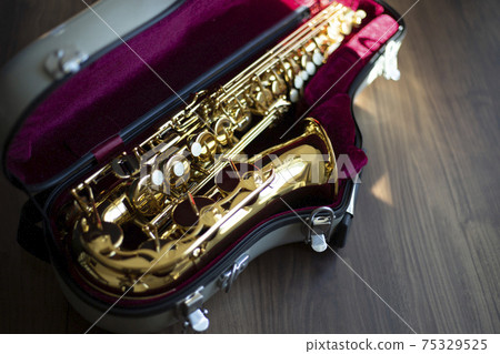 Saxophone in the case 75329525