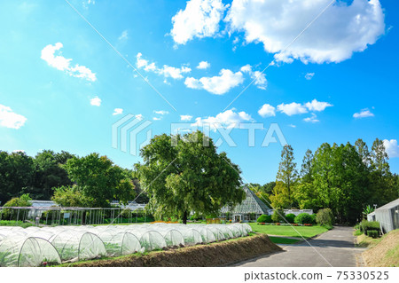 Nicknamed "dela farm" Nagoya City Agricultural Center <Nagoya City, Aichi Prefecture> 75330525