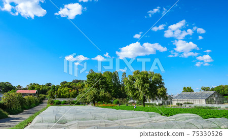 Nicknamed "dela farm" Nagoya City Agricultural Center <Nagoya City, Aichi Prefecture> 75330526