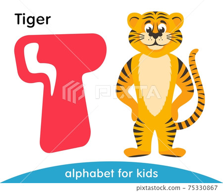 Pink letter T and yellow Tiger. English alphabet with animals. Cartoon characters isolated on white background. Flat design. Zoo theme. Colorful vector illustration for kids. 75330867