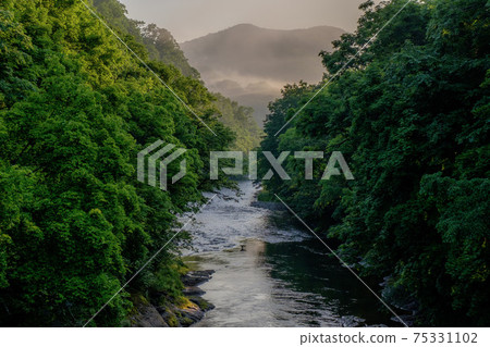 Summer scenery of Kinsenkyo Gorge, Takinoe Town in summer Summer scenery of Kinsenkyo Gorge, Takinoe Town in summer 75331102