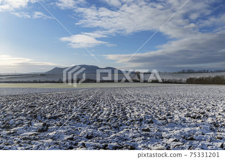 Winter landscape under Palava near Sonberk, South Moravia, Czech Republic Winter landscape under Palava near Sonberk, South Moravia, Czech Republic 75331201