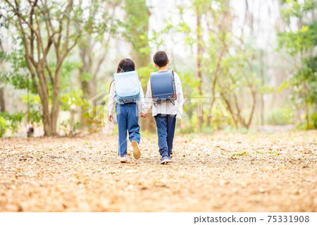 Brother and sister park, holding hands and walking 75331908