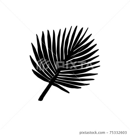 Vector hand drawn palm leaf silhouette 75332603