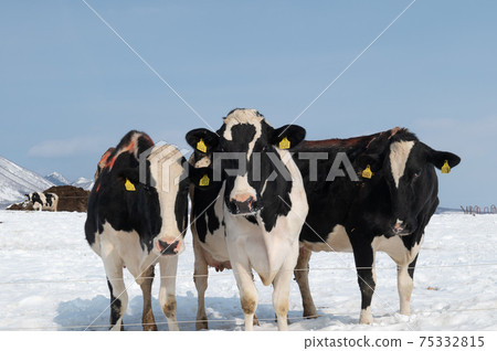 Milk producers Milk producers 75332815