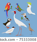Vector illustration of birds from different continents 75333008
