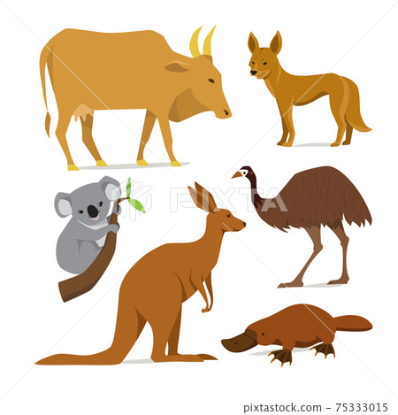 Big set of mammal animals of Australia in flat style Big set of mammal animals of Australia in flat style 75333015