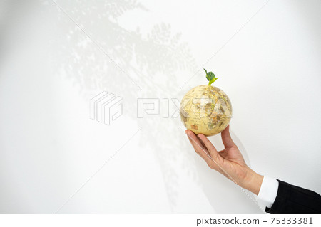 Global environment business Global environment business 75333381