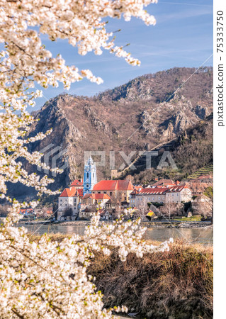 Durnstein village during spring time with Danube river in Wachau, Austria Durnstein village during spring time with Danube river in Wachau, Austria 75333750