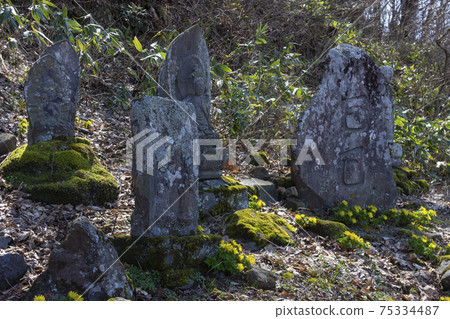 Early spring stone statue and Amur adonis Early spring stone statue and Amur adonis 75334487