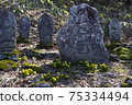 Early spring stone statue and Amur adonis 75334494
