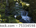 Mossy stones and murmuring in the park 75334598
