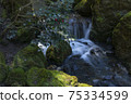 Mossy stones and murmuring in the park 75334599