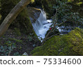 Mossy stones and murmuring in the park 75334600