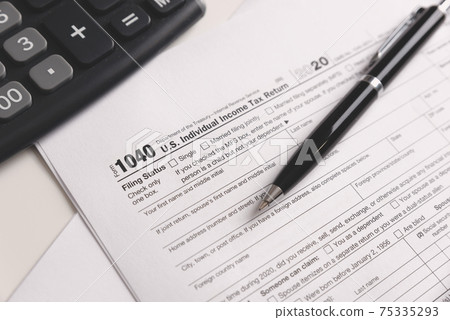 US Individual income tax return US Individual income tax return 75335293