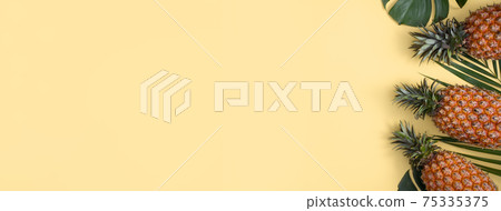 鳳梨 熱帶 葉子 蓬萊蕉 背景 龜背葉 pineapple background パイナップル 75335375