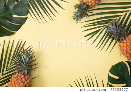 鳳梨 熱帶 葉子 蓬萊蕉 背景 龜背葉 pineapple background パイナップル 75335377