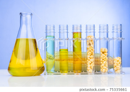 Ethanol biofuel derived from corn maze with beaker test tubes and corn cob in laboratory Ethanol biofuel derived from corn maze with beaker test tubes and corn cob in laboratory 75335661