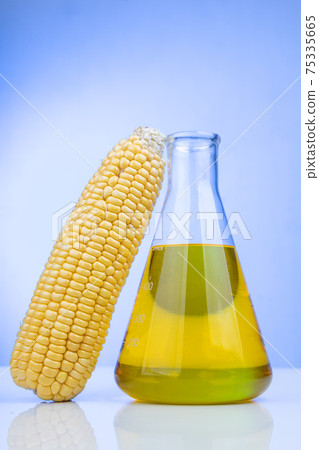 Ethanol biofuel derived from corn maze with beaker in laboratory 75335665
