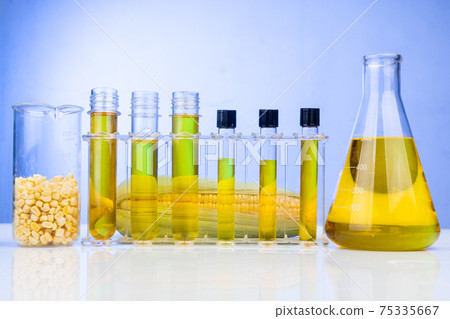 Ethanol biofuel derived from corn maze with beaker test tubes in laboratory on blue background Ethanol biofuel derived from corn maze with beaker test tubes in laboratory on blue background 75335667