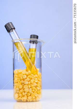 Ethanol biofuel derived from corn maze with beaker test tubes in laboratory on blue background Ethanol biofuel derived from corn maze with beaker test tubes in laboratory on blue background 75335670