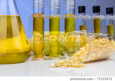 Close-up of ethanol biofuel derived from corn maze with beaker test tubes in laboratory 75335672
