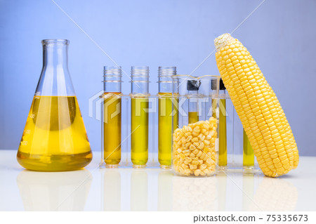 Ethanol biofuel derived from corn maze with beaker test tubes in laboratory Ethanol biofuel derived from corn maze with beaker test tubes in laboratory 75335673