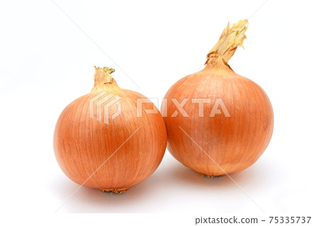 Onion (Tenshin Onion) Onion (Tenshin Onion) 75335737