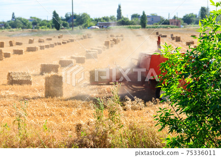 Rectangular baler discharges a straw bale in a field during the harvesting process 75336011