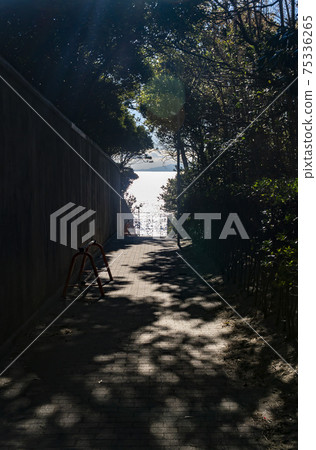 綠樹環繞的道路,就像電影中通往大海的場景一樣 綠樹環繞的道路,就像電影中通往大海的場景一樣 75336265