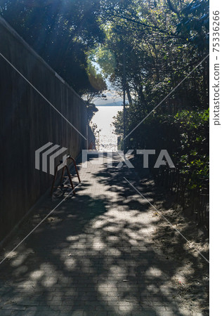 A road surrounded by greenery like a scene from a movie leading to the sea A road surrounded by greenery like a scene from a movie leading to the sea 75336266