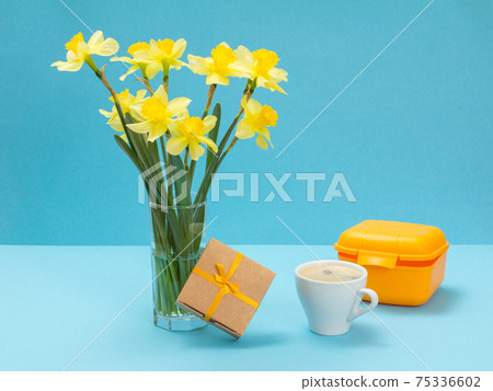 Bouquet of yellow daffodils in vase and a gift box on a blue background. 75336602