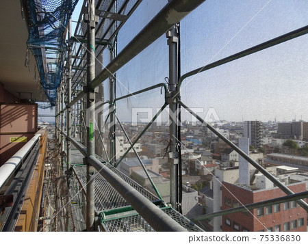 scaffold- 75336830
