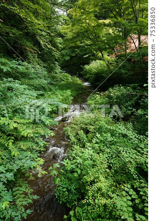 Yagasaki River, Karuizawa, Nagano, Saku 75336850