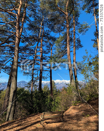 共同主演雪山和樹木 75337026
