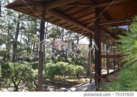 茅崎市姬室椿花園的姬室前房主 75337029