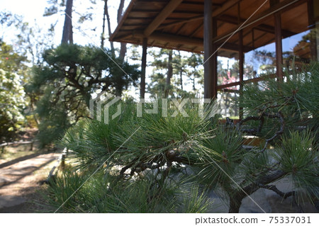 Former Himuro family house owner in Chigasaki City Himuro Tsubaki Garden 75337031