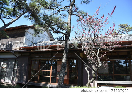 Former Himuro family house owner in Chigasaki City Himuro Tsubaki Garden 75337033