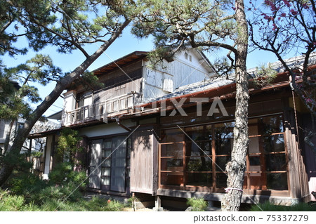 茅崎市姬室椿花園的姬室前房主 茅崎市姬室椿花園的姬室前房主 75337279