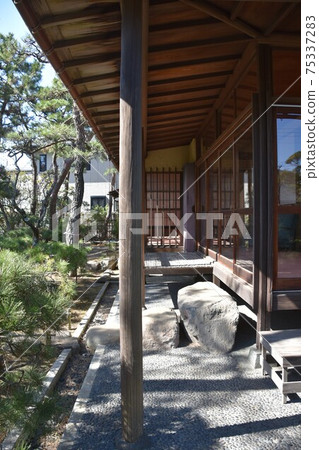 茅崎市姬室椿花園的姬室前房主 茅崎市姬室椿花園的姬室前房主 75337283