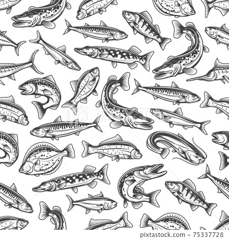 Sea and fiver fishes vector seamless pattern 75337728