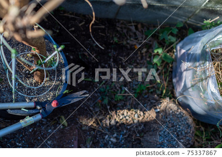 Cleaning up the garden Cleaning up the garden 75337867