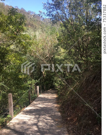 The road that continues in the mountains The road that continues in the mountains 75337882