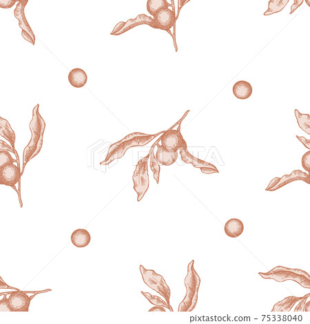 Seamless pattern with hand drawn pastel solanum Seamless pattern with hand drawn pastel solanum 75338040