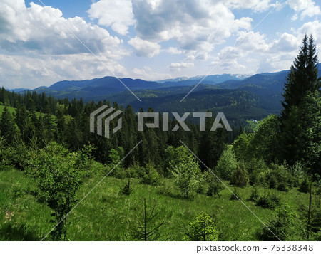 Beautiful springtime landscape in morning mountains 75338348