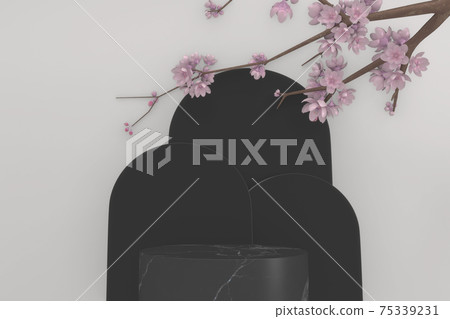 black granite podium on white background. 3D rendering 75339231