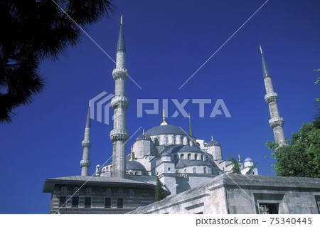 TURKEY ISTANBUL BLUE MOSQUE 75340445